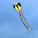 Lade das Bild in den Galerie-Viewer, 4m Software Octopus Kite Single Line Beach Kites
