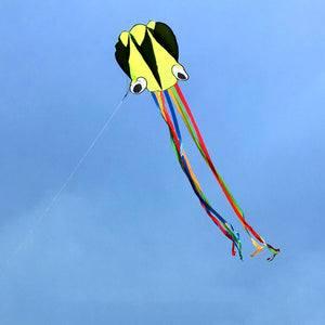 4m Software Octopus Kite Single Line Beach Kites