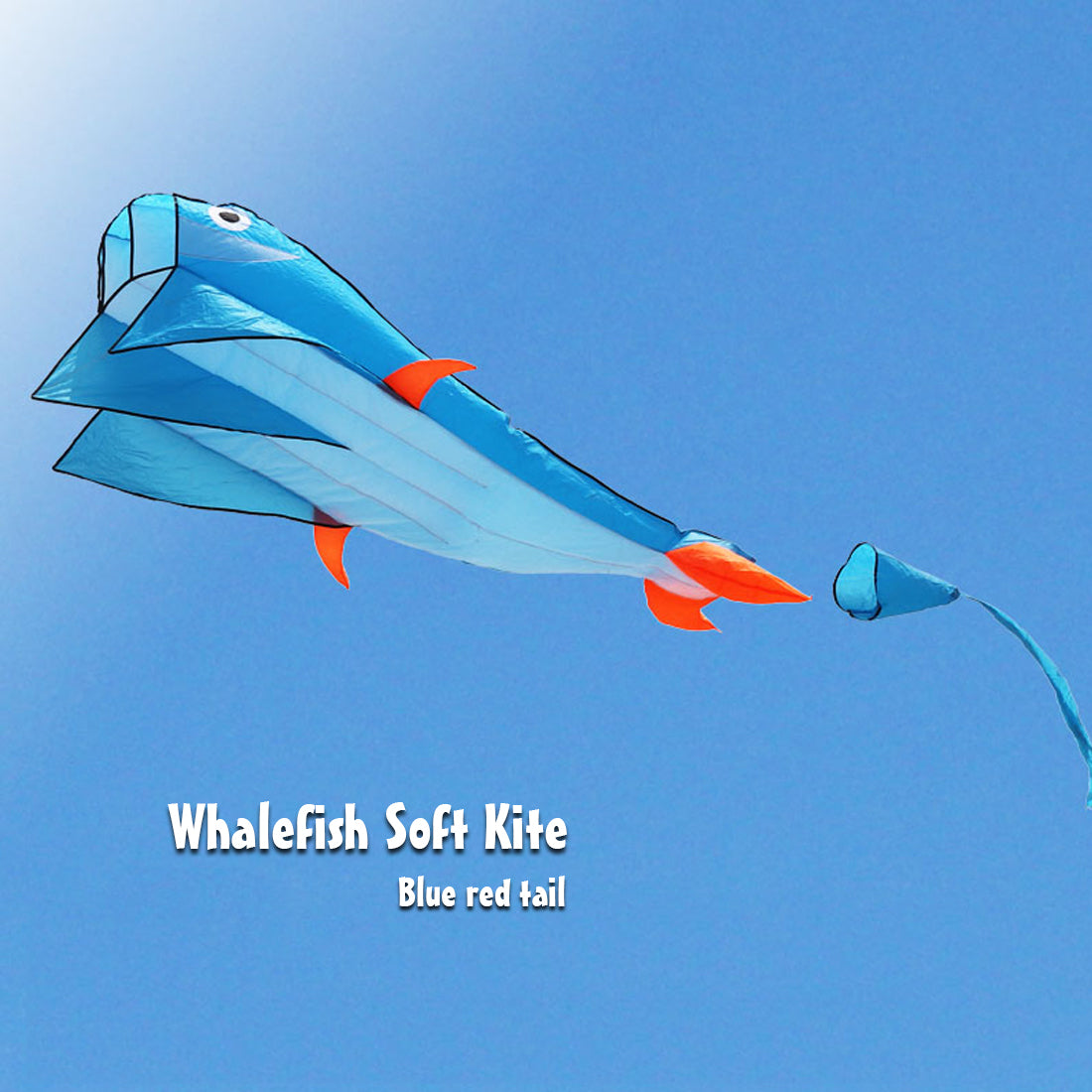 3D Dolphin Software Kite Single Line Kites