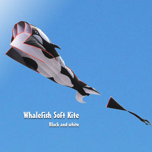 3D Dolphin Software Kite Single Line Kites