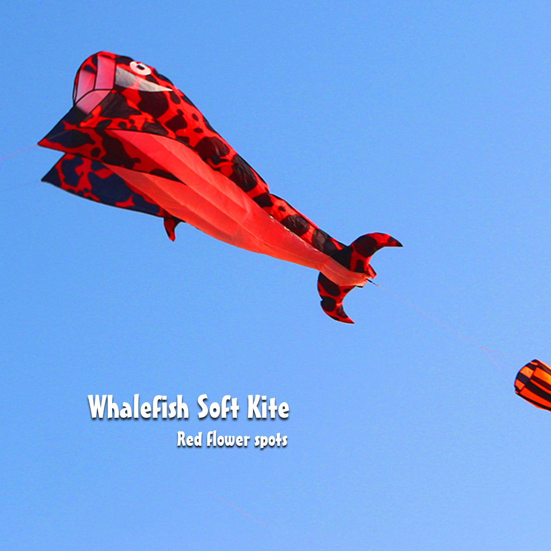 3D Dolphin Software Kite Single Line Kites