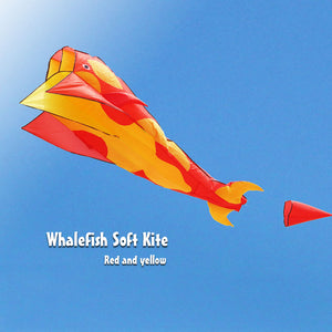 3D Dolphin Software Kite Single Line Kites