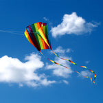 Load image into Gallery viewer, Small Pocket Type Single Line Kite
