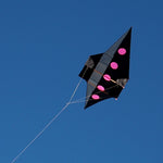 Load image into Gallery viewer, 3.3M UFO Kite Single Line Kites
