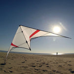 Lade das Bild in den Galerie-Viewer, Freilein 2.15m Breeze Stunt Kite Ghost Dual Line Framed Kites Beach Sports Kite
