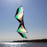 Lade das Bild in den Galerie-Viewer, 2.4m Sport Quad Line Kite Stunt Power with flying tools
