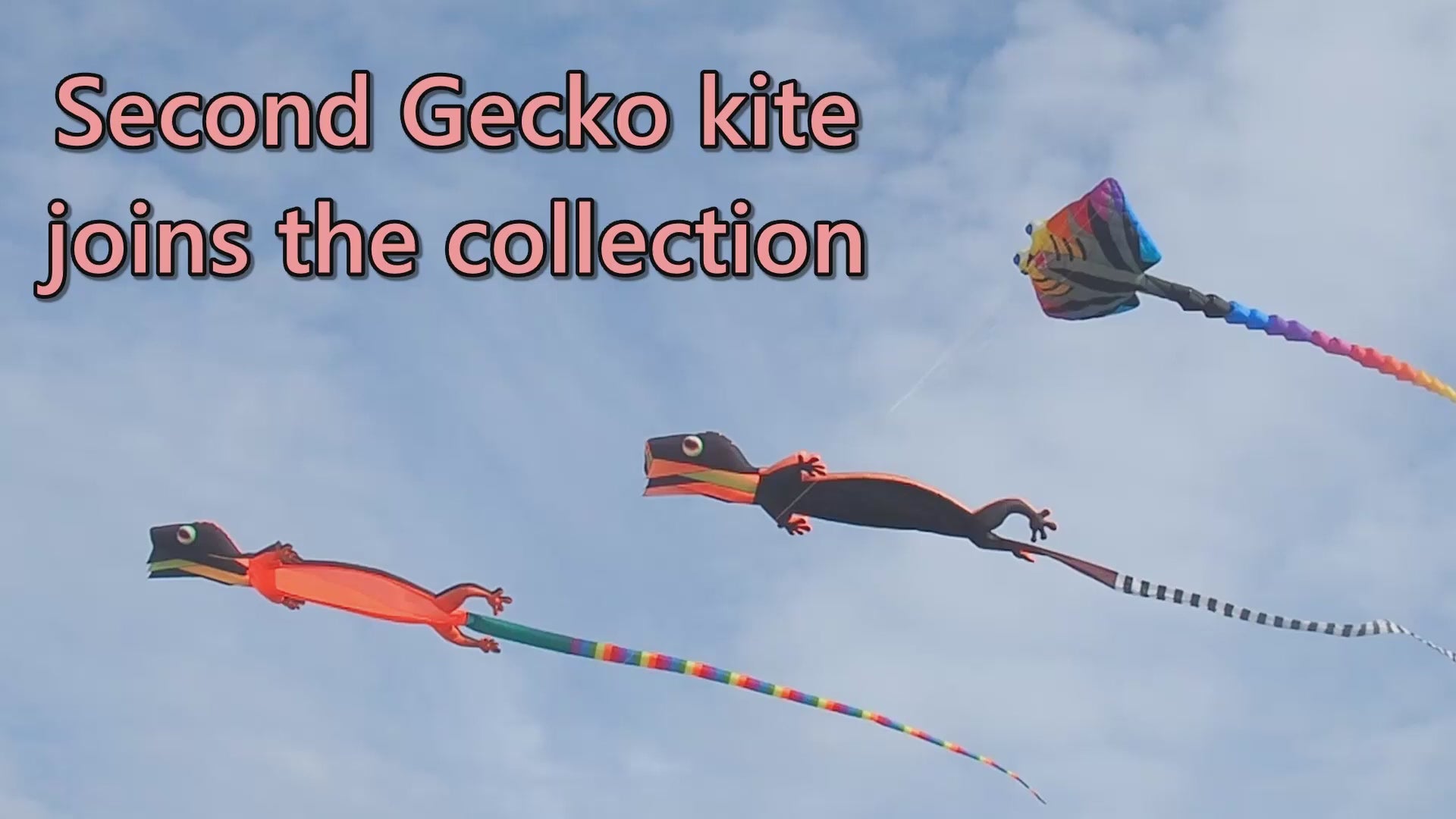 12m Giant Gecko Kite Single Line Soft Inflatable Kite 30D Ripstop