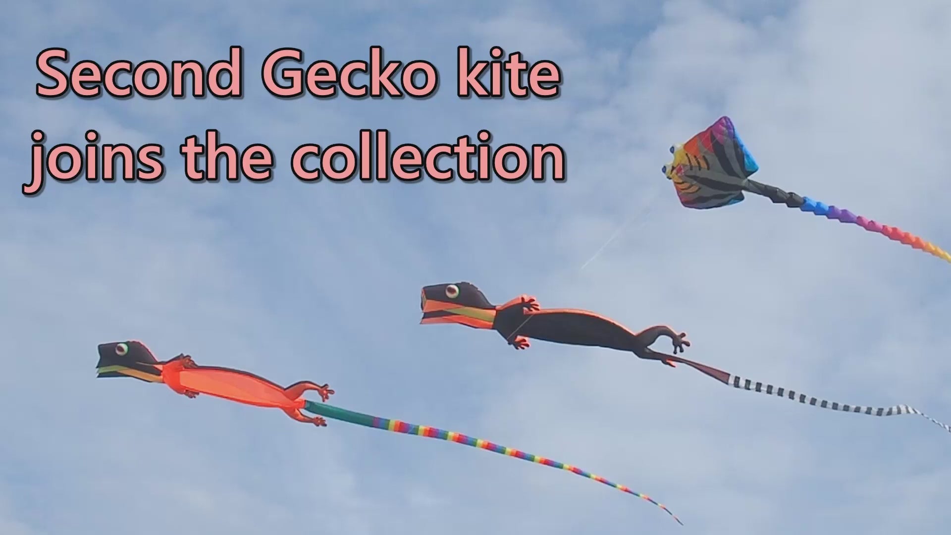 12m Giant Gecko Kite Single Line Soft Inflatable Kite 30D Ripstop Nylon with Bag